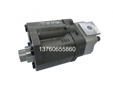 AP2D28先(xian)導泵